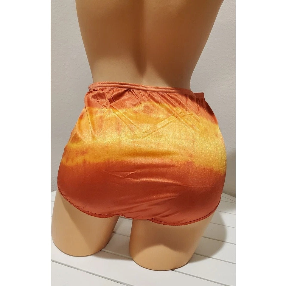 Vanity Fair Lace Nouveau Nylon Full Cut Panty Lace Shiny Flame Rainbow Shift 6/M