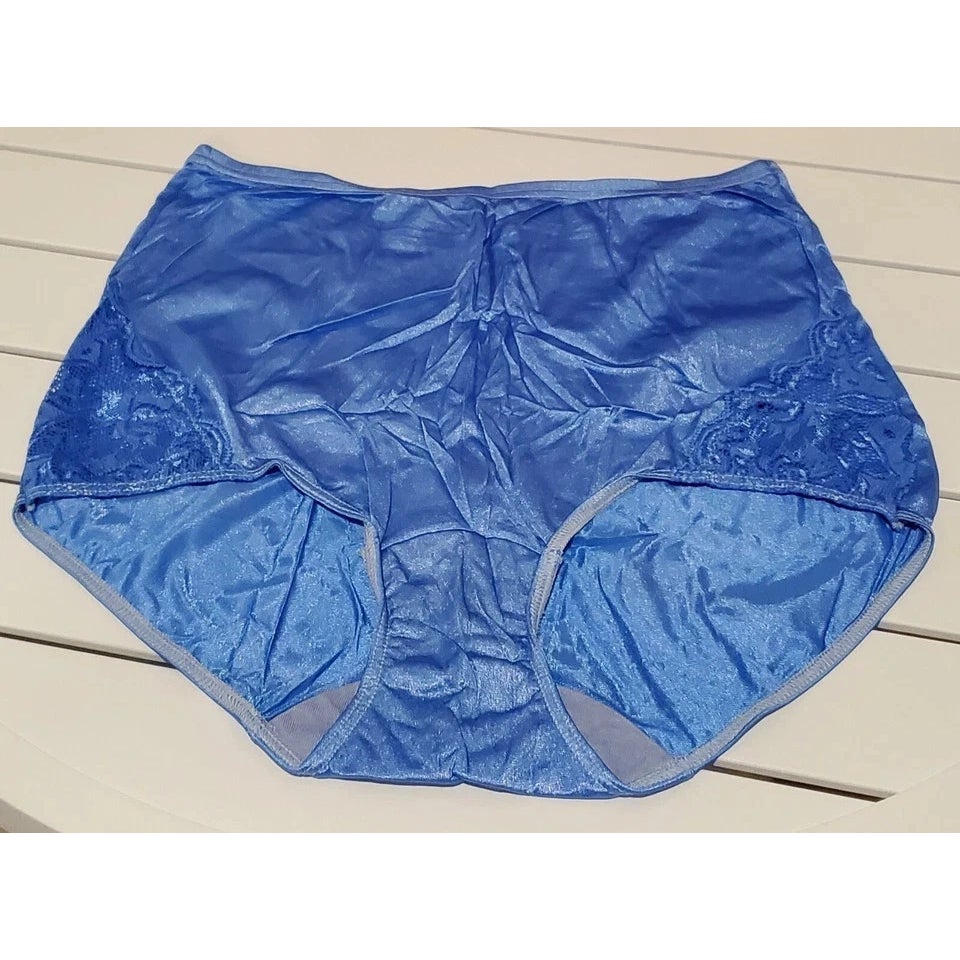 Shadowline 17082 Full Cut Brief Nylon Lace Full Cut Silky Panty Blue Eyes