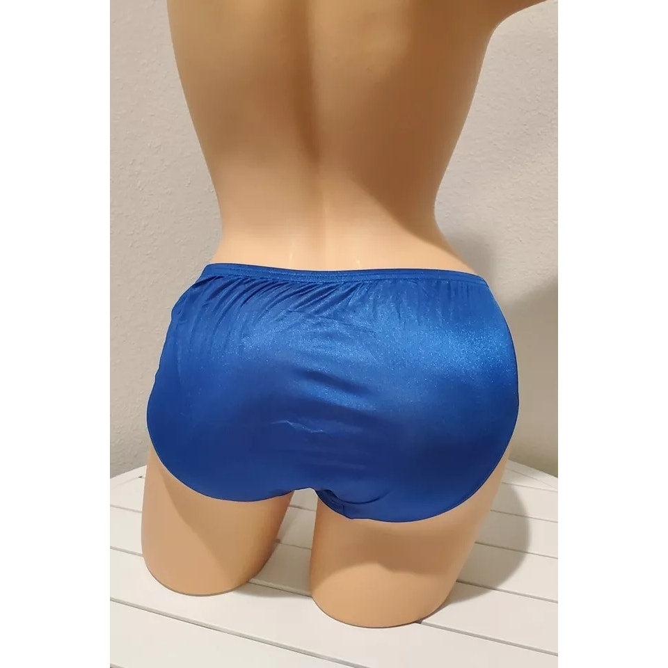 Shadowline 11182 Lace Insets Bikini Panty Shiny Nylon Full Cut Silky Blue