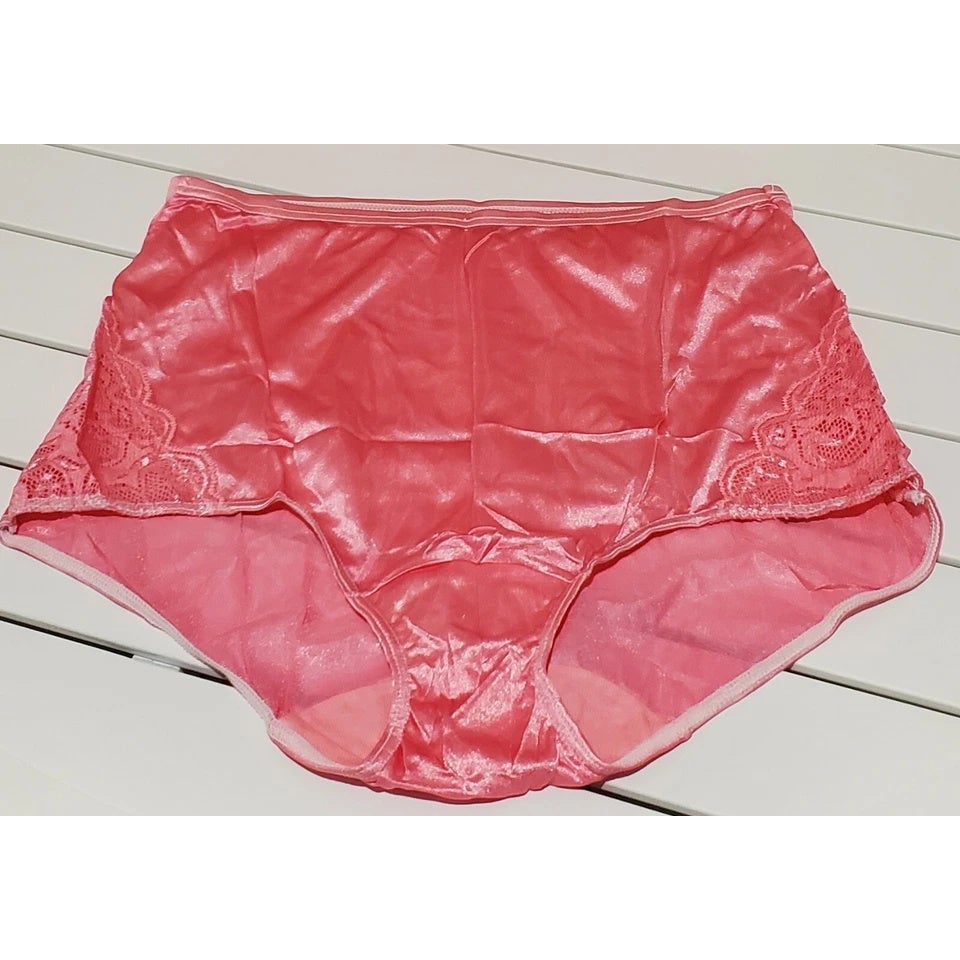 Shadowline 17082 Full Cut Brief Nylon Lace Full Cut Panty Ice Pink