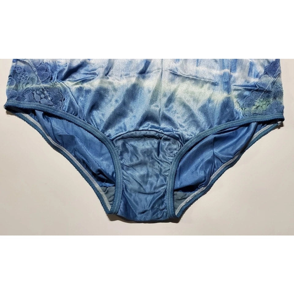 Vanity Fair Lace Nouveau Nylon Full Cut Panty Shiny Rainbow Ombre Green On Blue