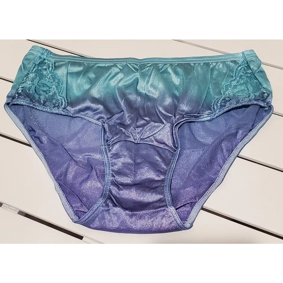 Shadowline 11182 Lace Insets Bikini Panty Shiny Nylon Full Cut Silky Ombre Frost