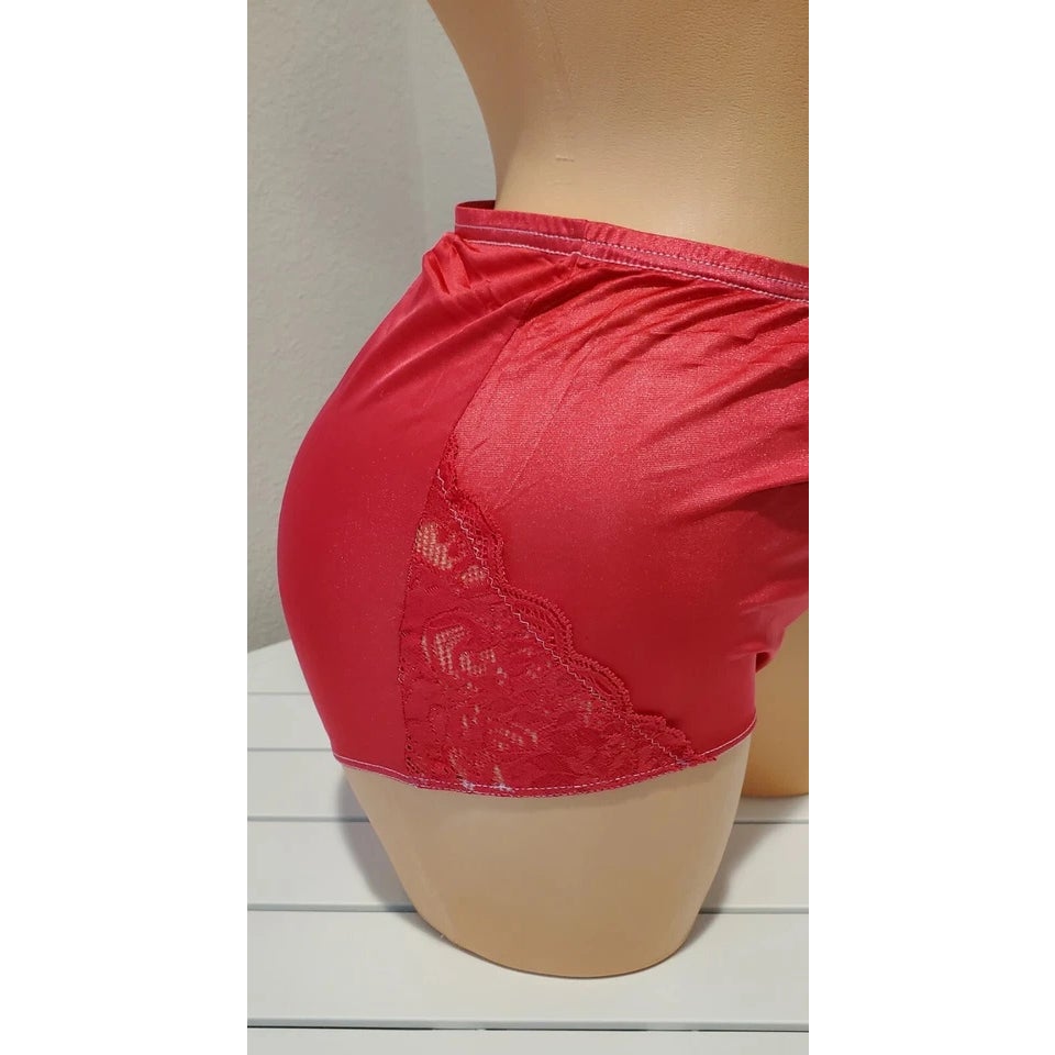 Shadowline 17082 Full Cut Brief Nylon Lace Full Cut Panty Pink Passion