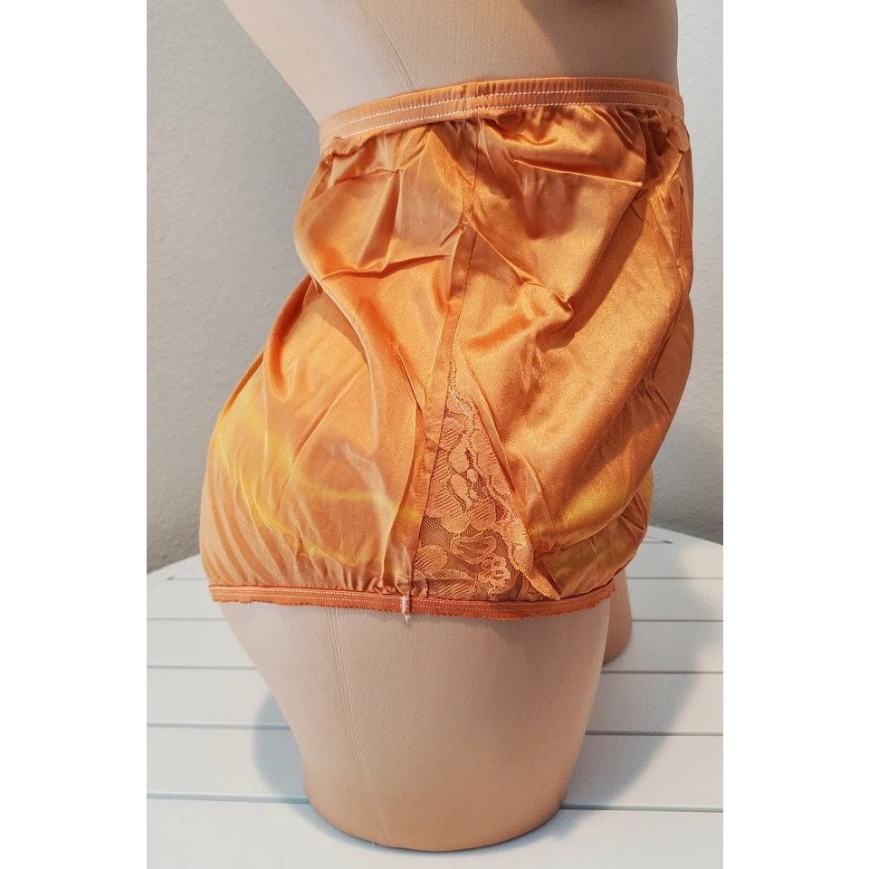 Vanity Fair Lace Nouveau Nylon Full Cut Panty Rainbow Shift Cantaloupe 11/4XL