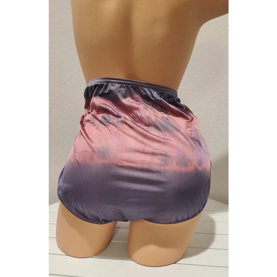 Vanity Fair Lace Nouveau Nylon Full Cut Panty Lace Rainbow Shift Phantom 10/3XL