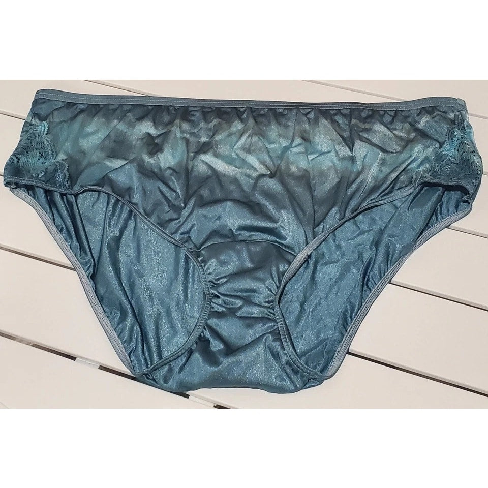 Shadowline 11182 Lace Insets Bikini Panty Nylon Rainbow Shift Gray On Blue 10