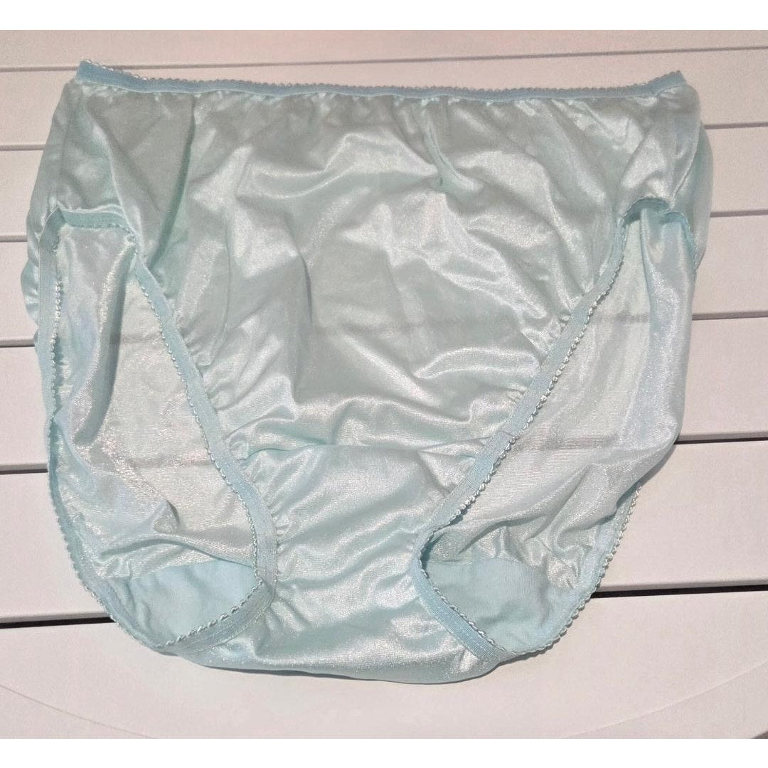 Shadowline 17842 Women's Hi Cut Panty Nylon Brief Full Coverage Powder Blue