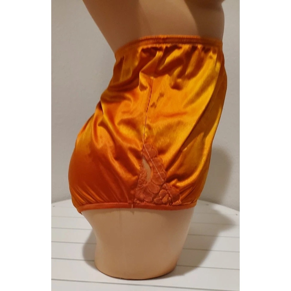 Vanity Fair Lace Nouveau Nylon Full Cut Panty Shiny Inferno Rainbow Shift 11/4XL