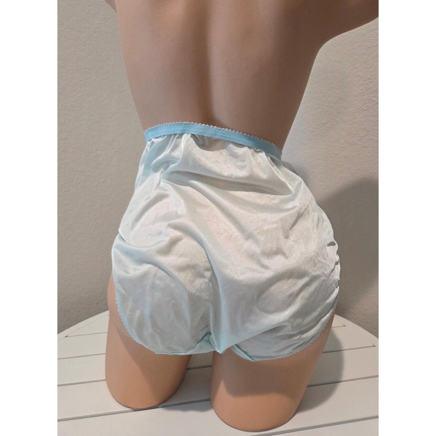 Shadowline 17842 Women's Hi Cut Panty Nylon Brief Full Coverage Powder Blue