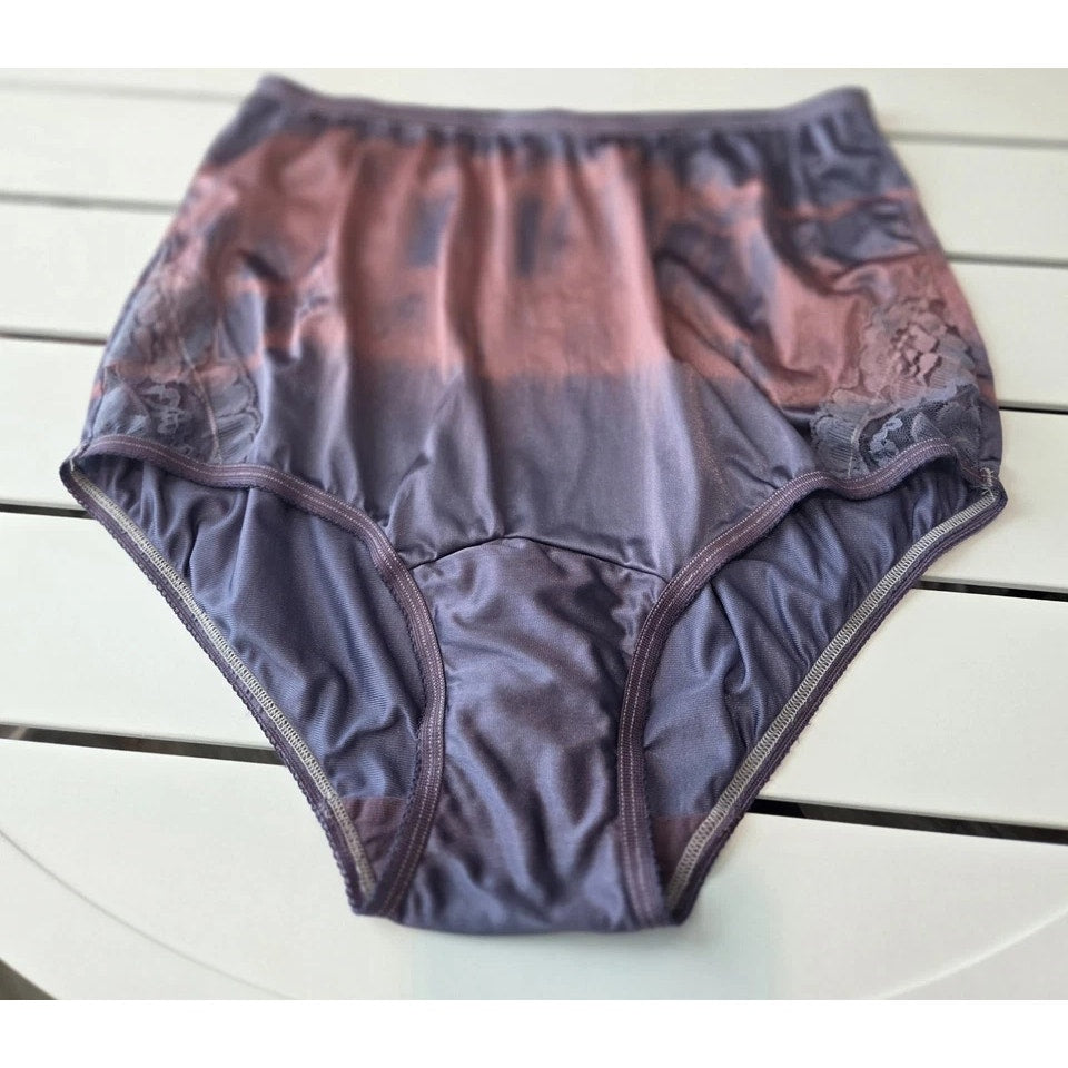 Vanity Fair Lace Nouveau Nylon Full Cut Panty Shiny Popberry Rainbow Shift 6/M