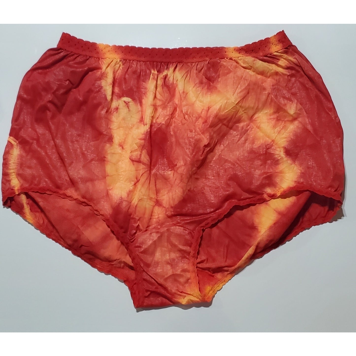 Carole Silky Nylon Full Cut Brief Panty Lot of 2 Rainbow Edge Lace Trim Size 12