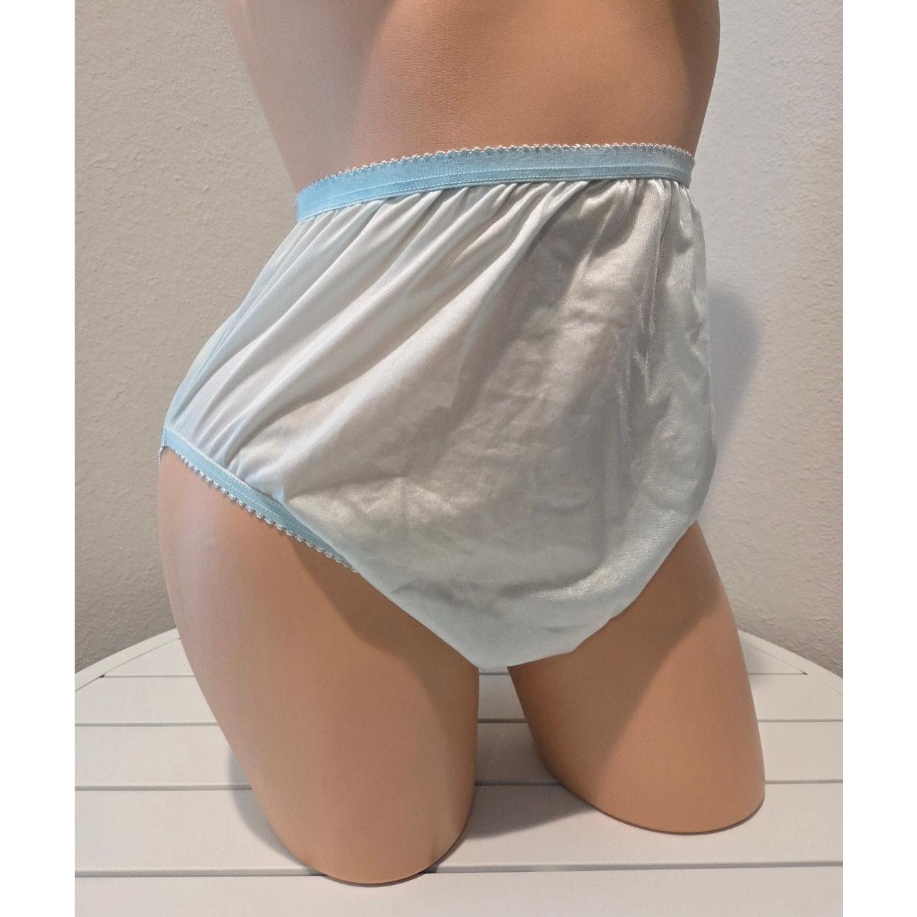 Shadowline 17842 Women's Hi Cut Panty Nylon Brief Full Coverage Powder Blue