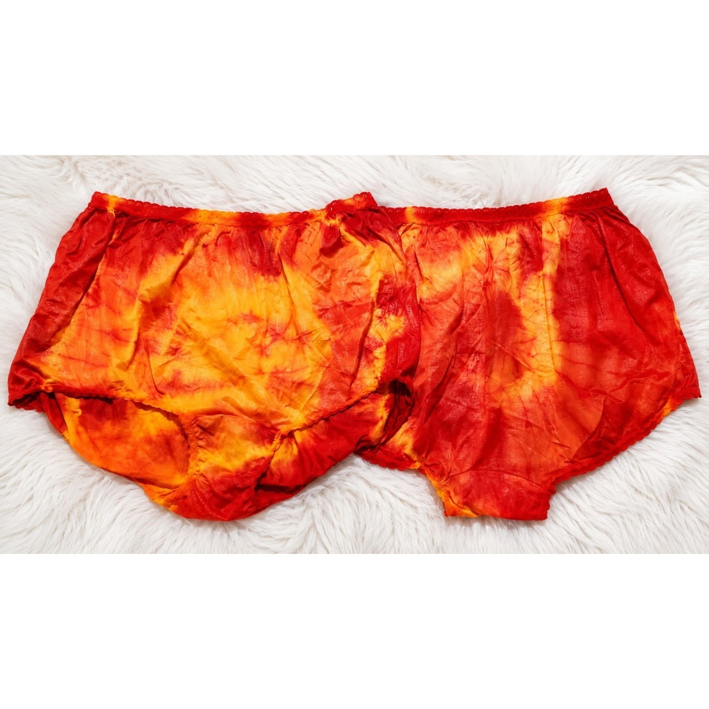 Carole Silky Nylon Full Cut Brief Panty Lot of 2 Rainbow Edge Lace Trim Size 12