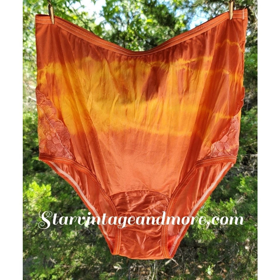 Vanity Fair Lace Nouveau Nylon Full Cut Panty Lace Shiny Flame Rainbow Shift 6/M