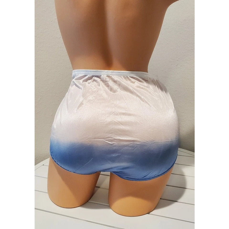 Vanity Fair Lace Nouveau Nylon Full Cut Panty Lace Shiny Ombre Frozen Blue 6/M