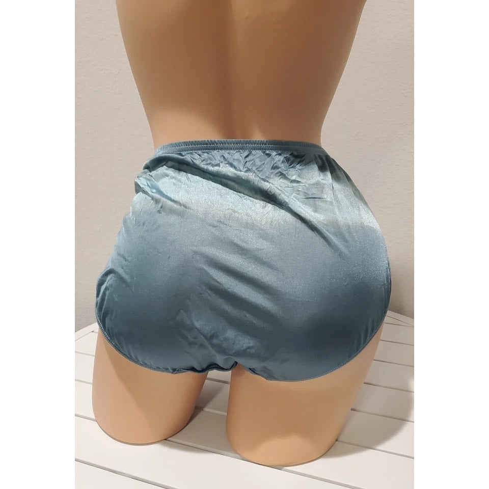 Shadowline 11182 Lace Insets Bikini Panty Nylon Rainbow Shift Gray On Blue 10