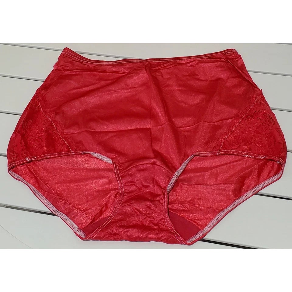 Shadowline 17082 Full Cut Brief Nylon Lace Full Cut Panty Pink Passion