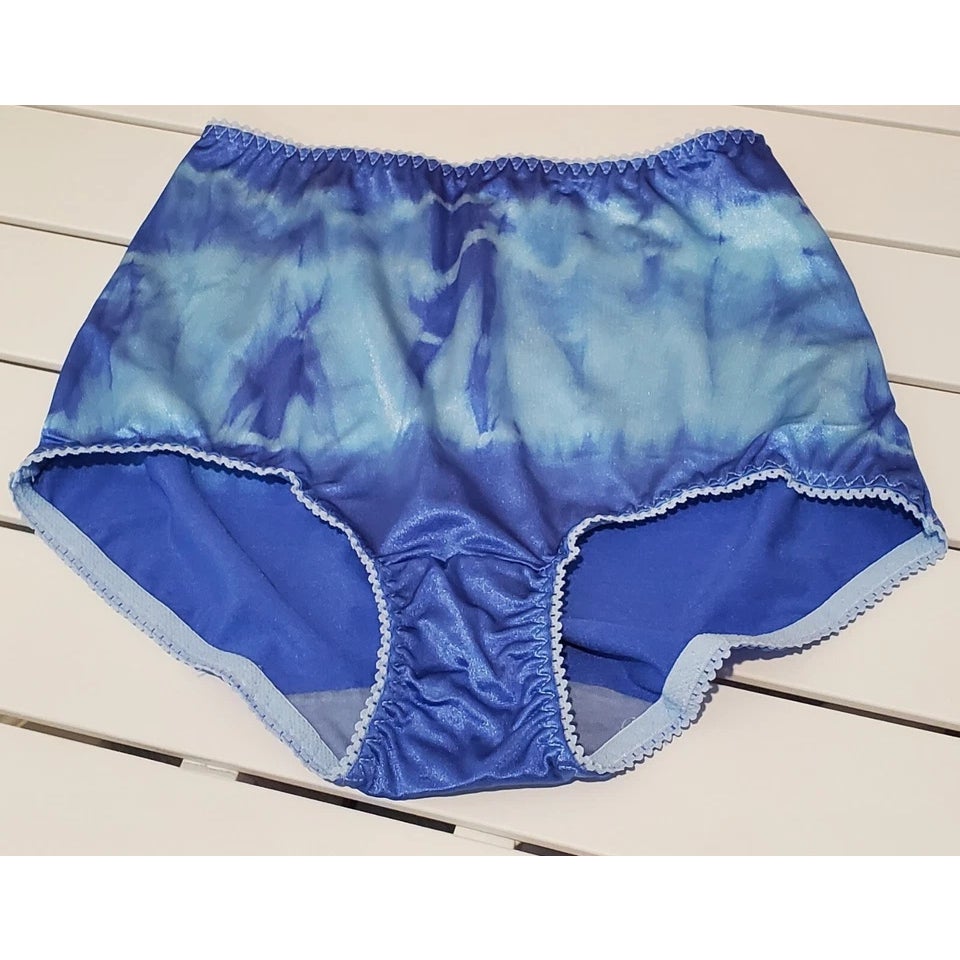 Vanity Fair 40301 Full Coverage Brief Panty Blue On Baby Blue Rainbow Shift 6/M