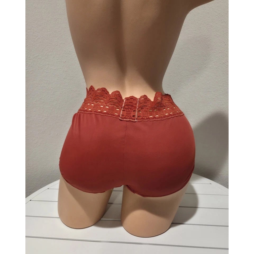 Olga Secret Hug Full Coverage Brief Panty Nylon Silky Red Candy Apple