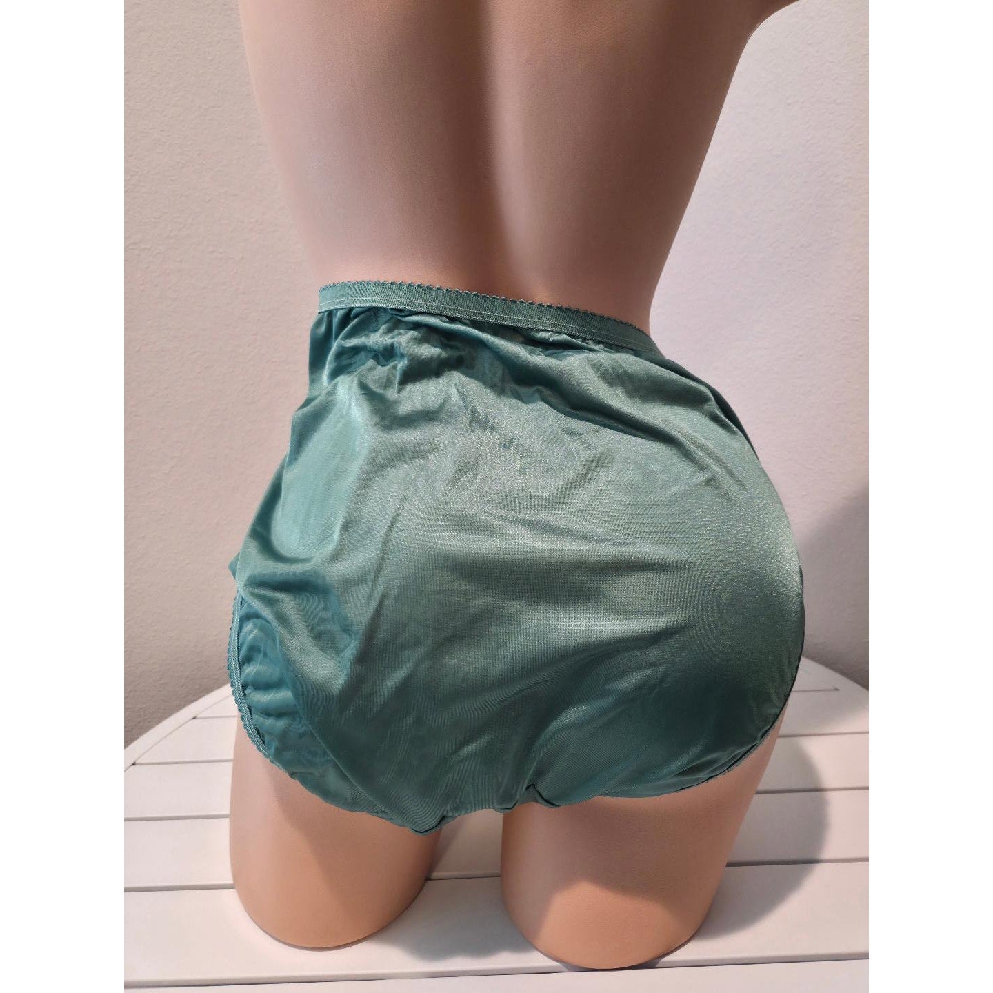 Shadowline 17842 Women's Hi Cut Panty Nylon Brief Full Coverage Forest Green
