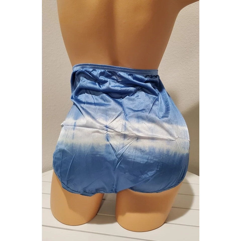 Vanity Fair Lace Nouveau Nylon Full Cut Panty Rainbow Ombre White On Blue 9/2XL