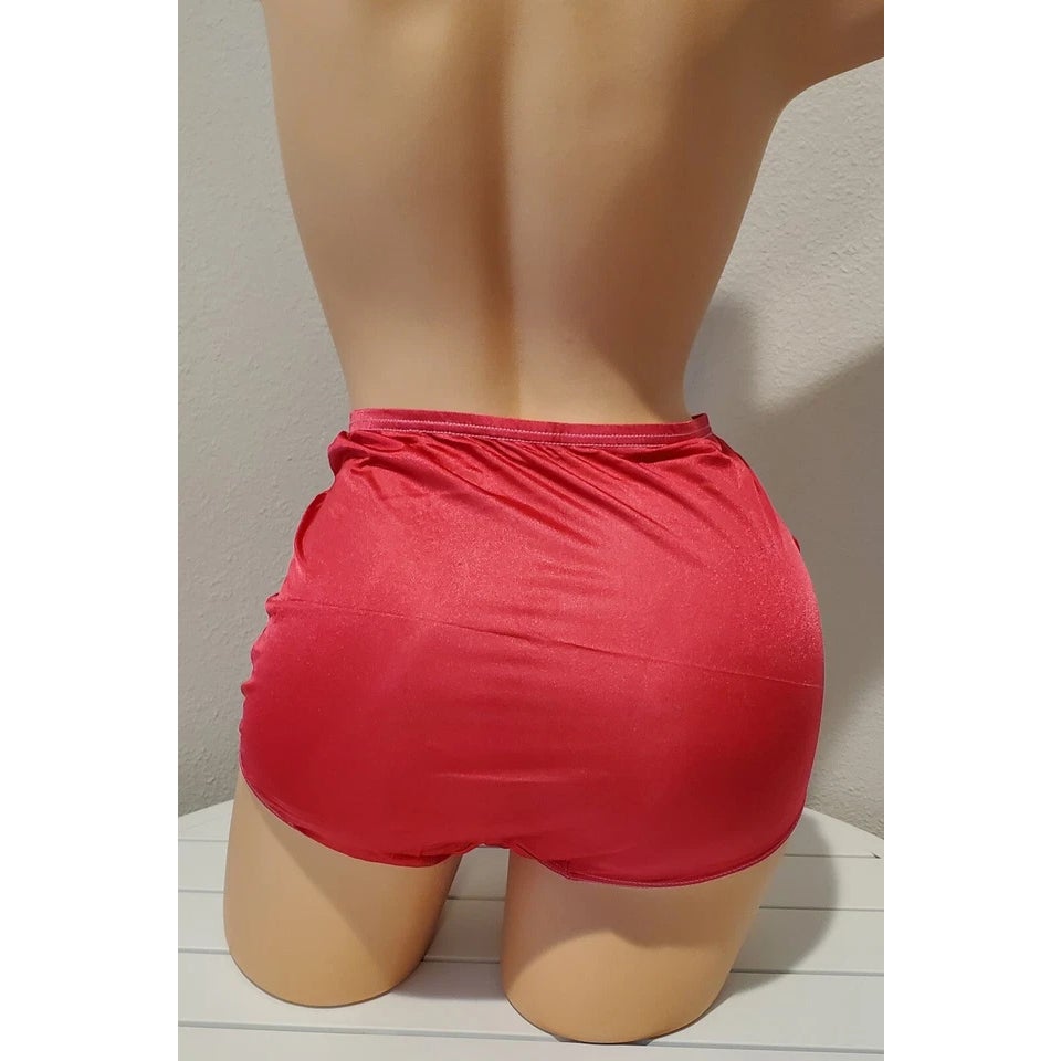 Shadowline 17082 Full Cut Brief Nylon Lace Full Cut Panty Pink Passion