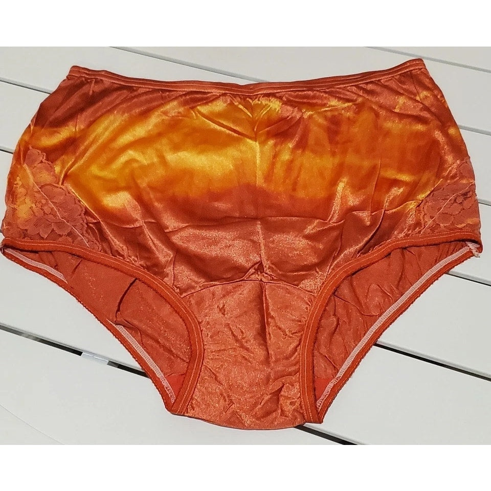 Vanity Fair Lace Nouveau Nylon Full Cut Panty Lace Shiny Flame Rainbow Shift 6/M