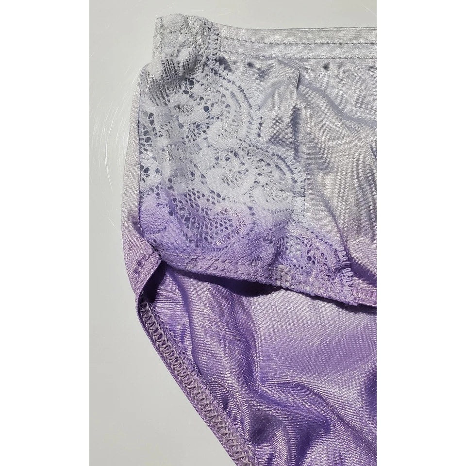 Shadowline 11182 Lace Insets Bikini Panty Nylon Ombre Silver Fox Purple 5/S