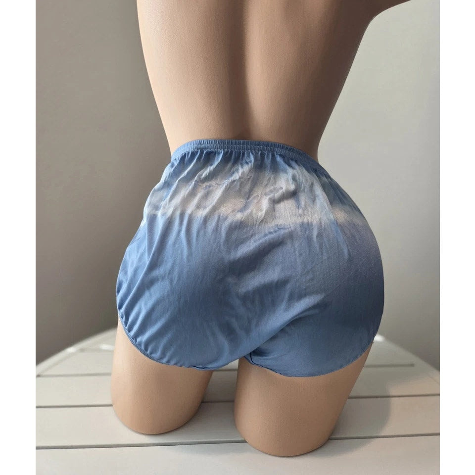 Shadowline 11032 Bikini Panty Shiny Nylon Full Cut Silky Dove Blue Rainbow 10