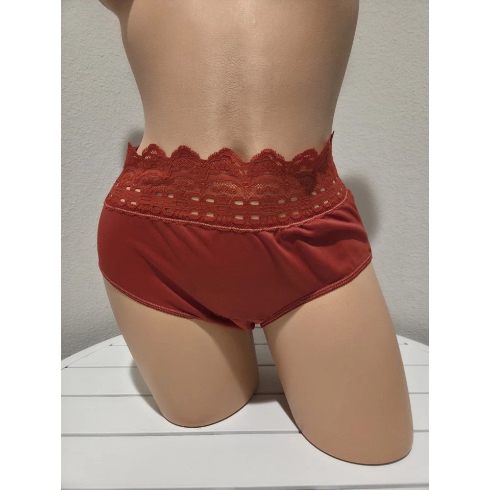 Olga Secret Hug Full Coverage Brief Panty Nylon Silky Red Candy Apple