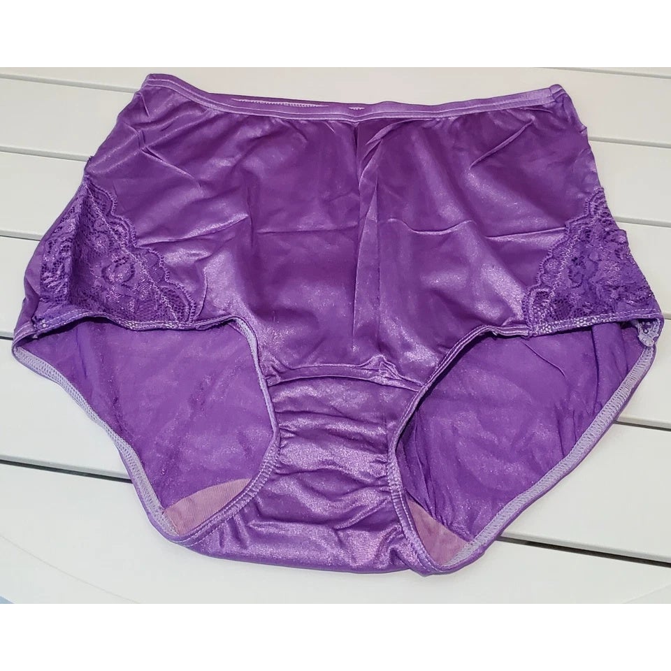 Shadowline 17082 Full Cut Brief Nylon Lace Full Cut Panty Purple Grape