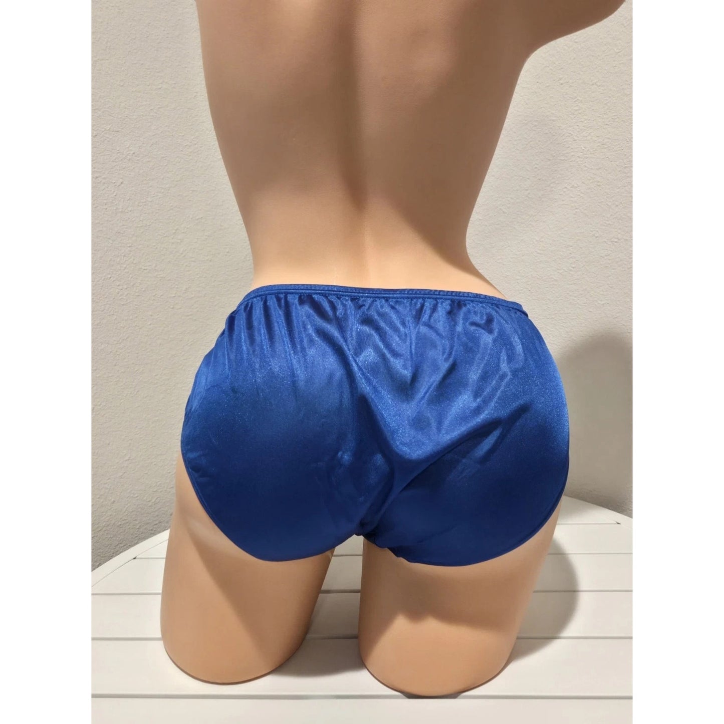 Shadowline 11032 Women's Bikini Panty Nylon Brief Classic Blue