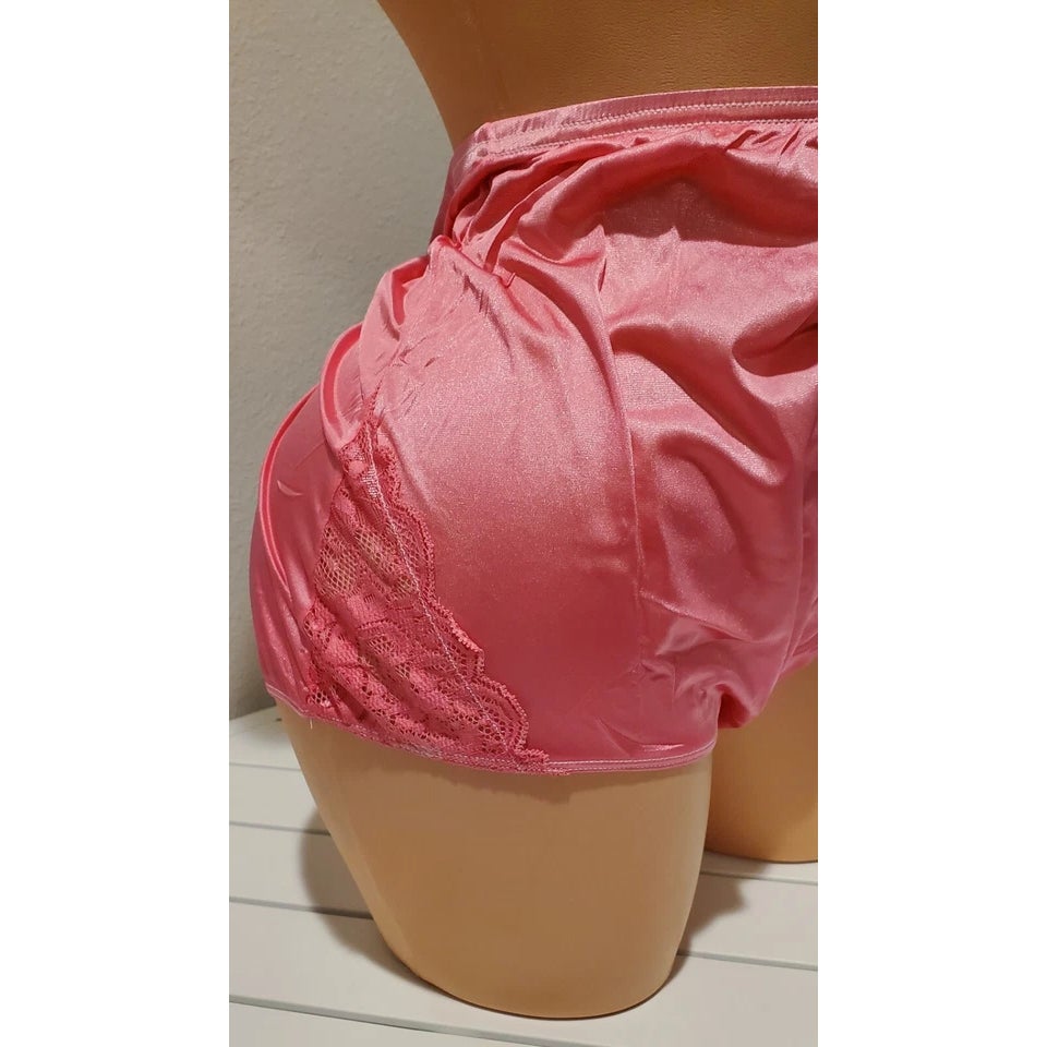 Shadowline 17082 Full Cut Brief Nylon Lace Full Cut Panty Temptress Pink