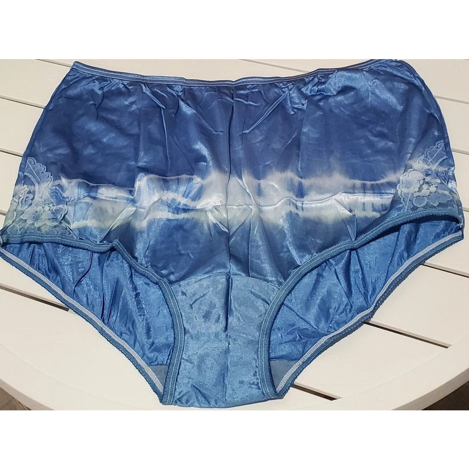 Vanity Fair Lace Nouveau Nylon Full Cut Panty Rainbow Ombre White On Blue 9/2XL