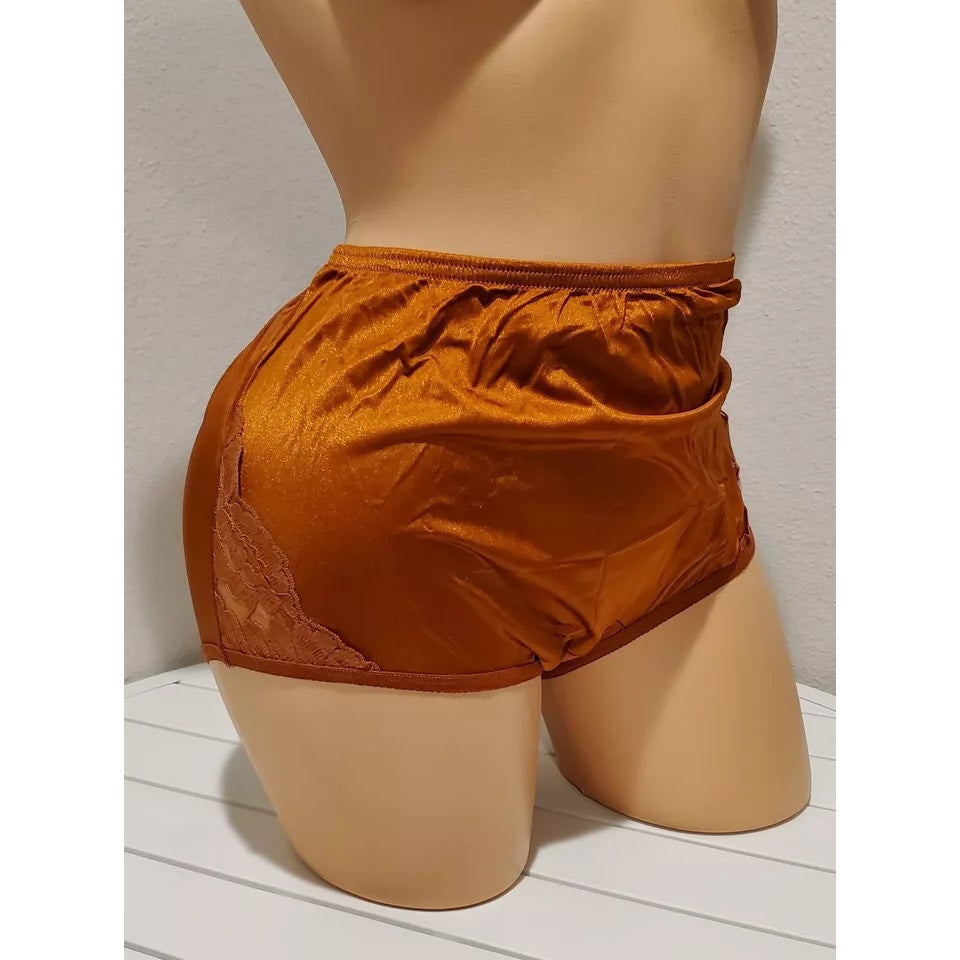 Vanity Fair Lace Nouveau Nylon Full Cut Panty Lace Shiny Bronze Empire