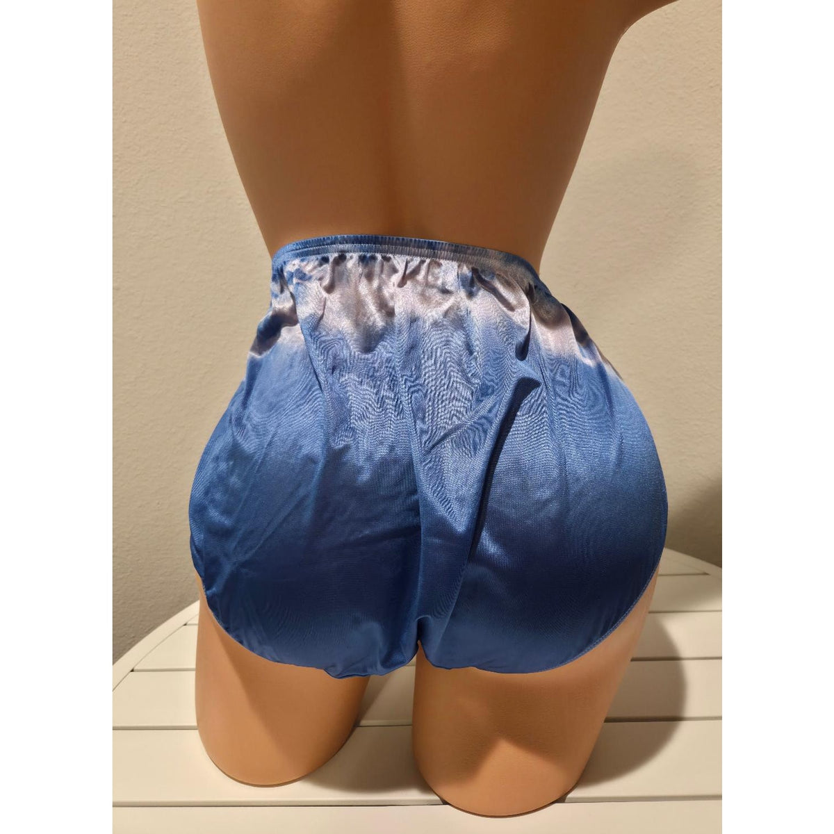 Shadowline 11182 Lace Insets Bikini Panty Shiny Nylon Moonwash Rainbow 10/3XL