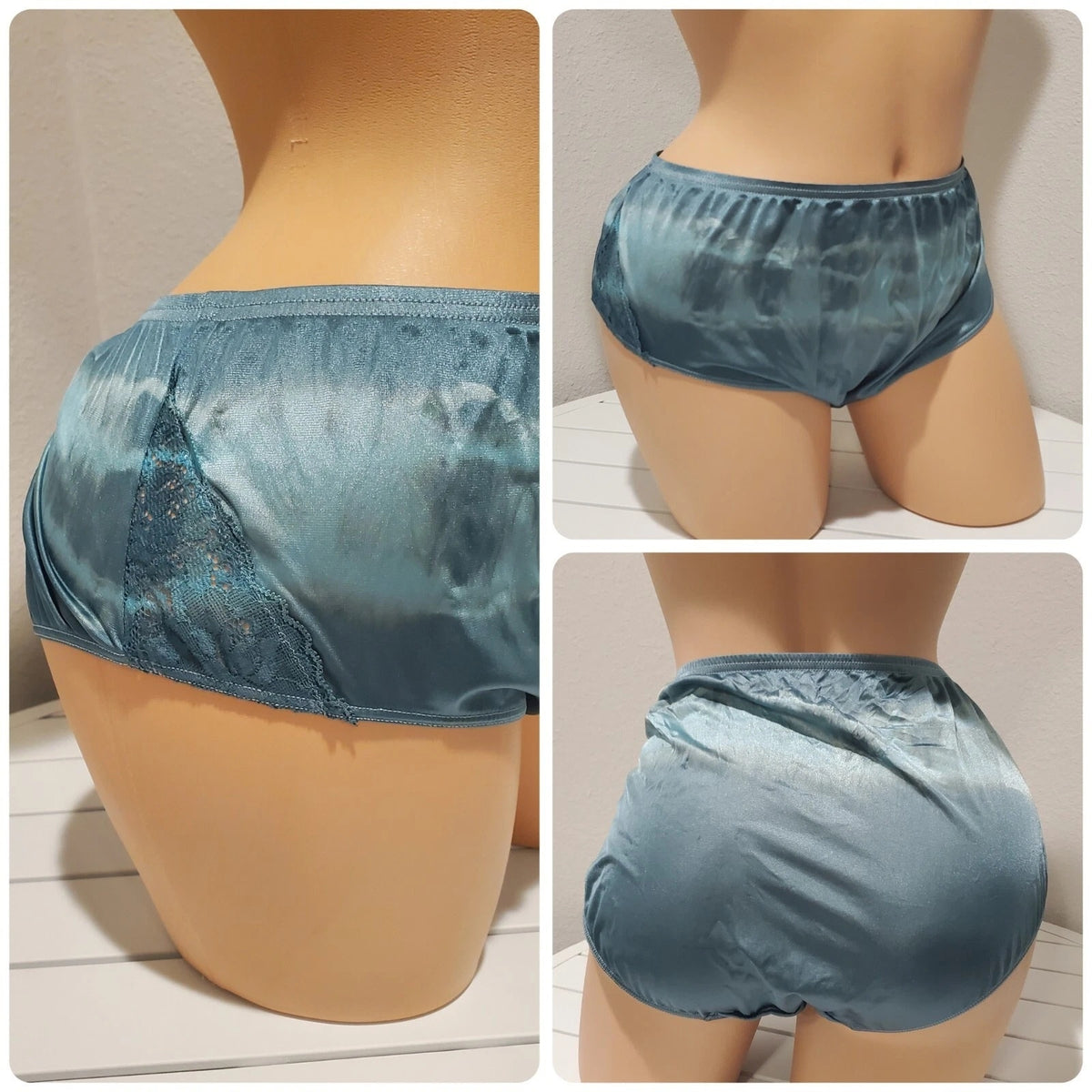Shadowline 11182 Lace Insets Bikini Panty Nylon Rainbow Shift Gray On Blue 10