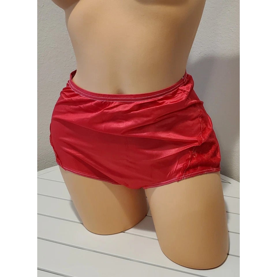 Shadowline 17082 Full Cut Brief Nylon Lace Full Cut Panty Pink Passion