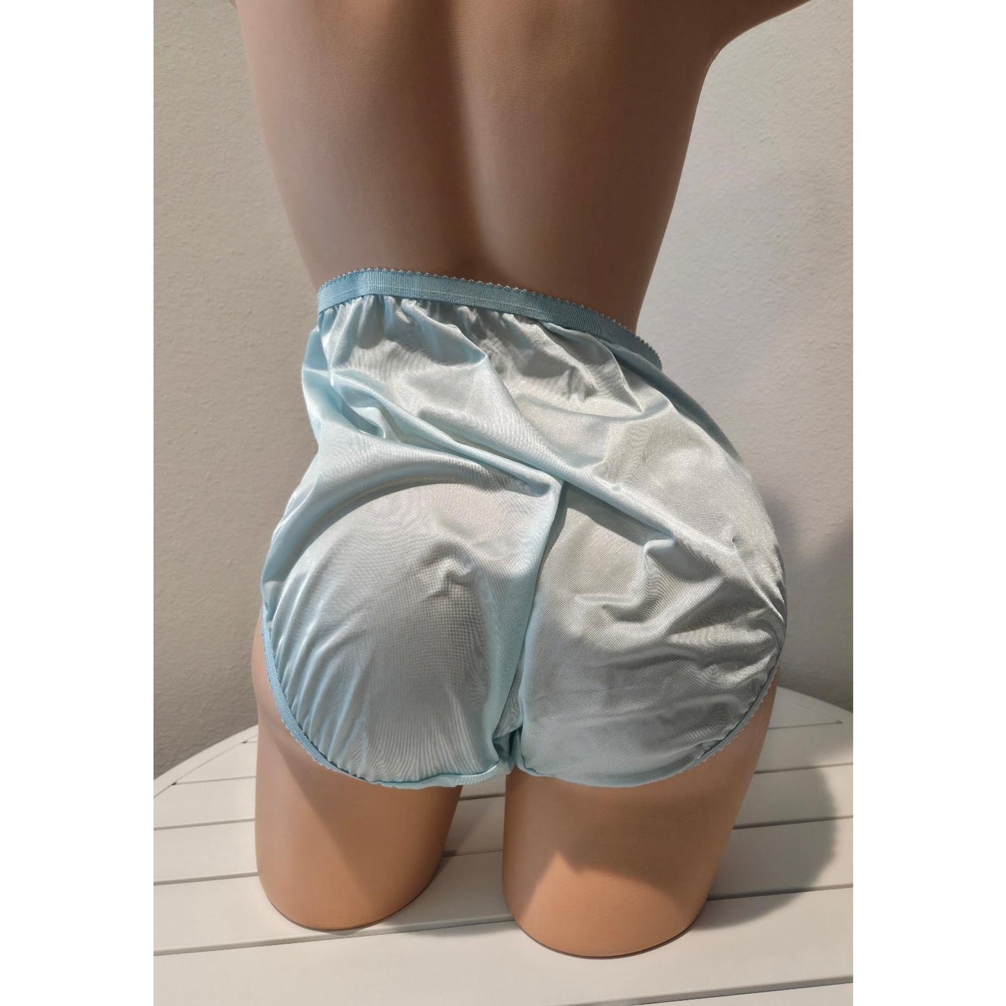 Shadowline 17842 Women's Hi Cut Panty Nylon Brief Full Coverage Morning Sky Blue