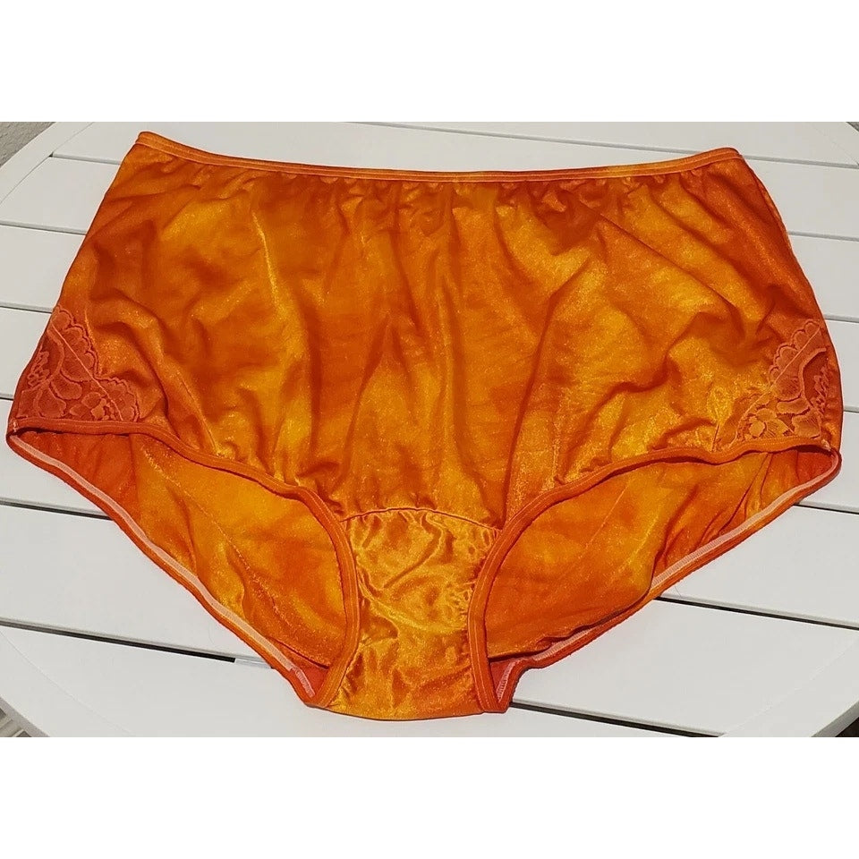 Vanity Fair Lace Nouveau Nylon Full Cut Panty Shiny Inferno Rainbow Shift 11/4XL