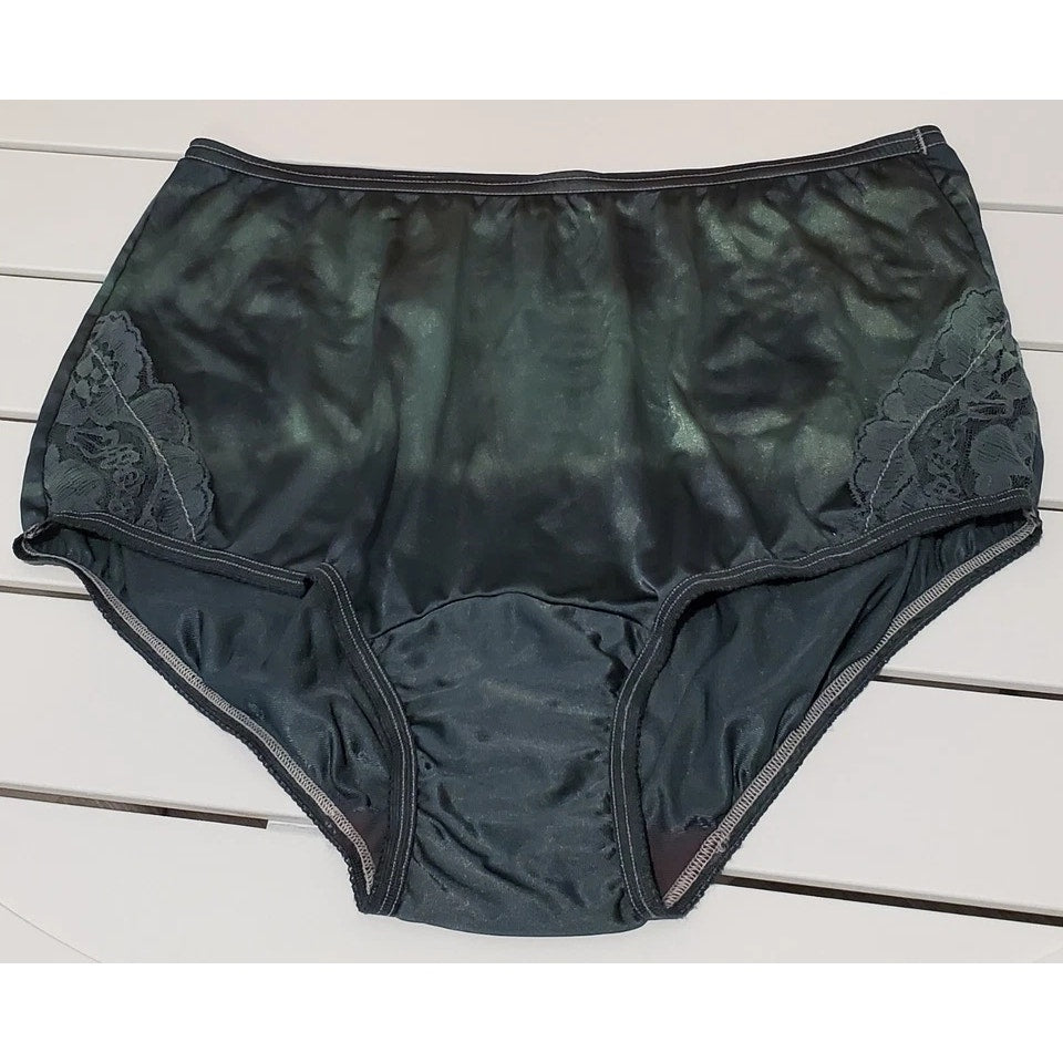 Vanity Fair Lace Nouveau Nylon Full Cut Panty Cyclone Green Rainbow Shift 6/M