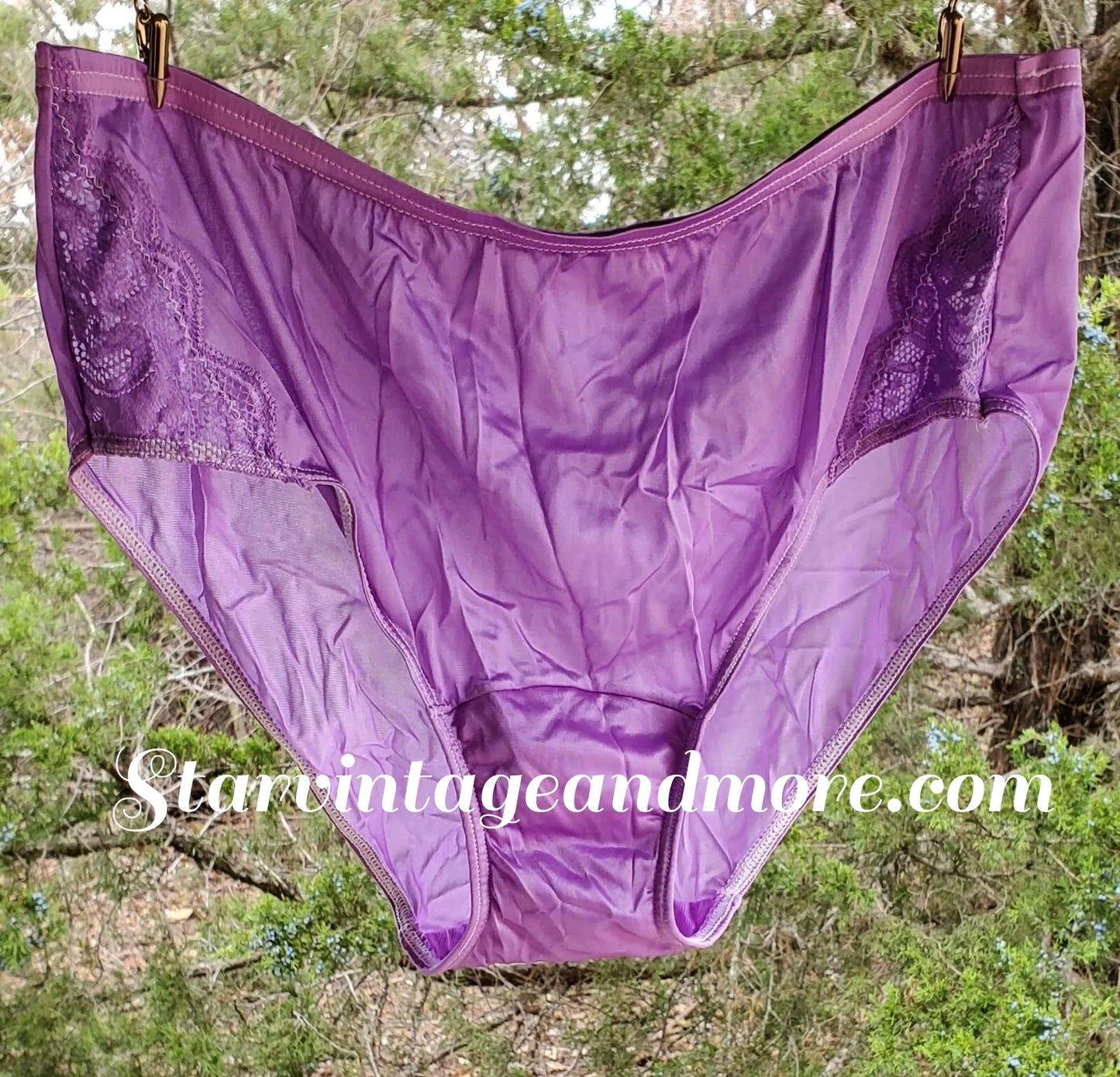 Shadowline Floral LACE Bikini Sissy Panty Silky Nylon PURPLE Foxglove 11182 - Star Vintage & More