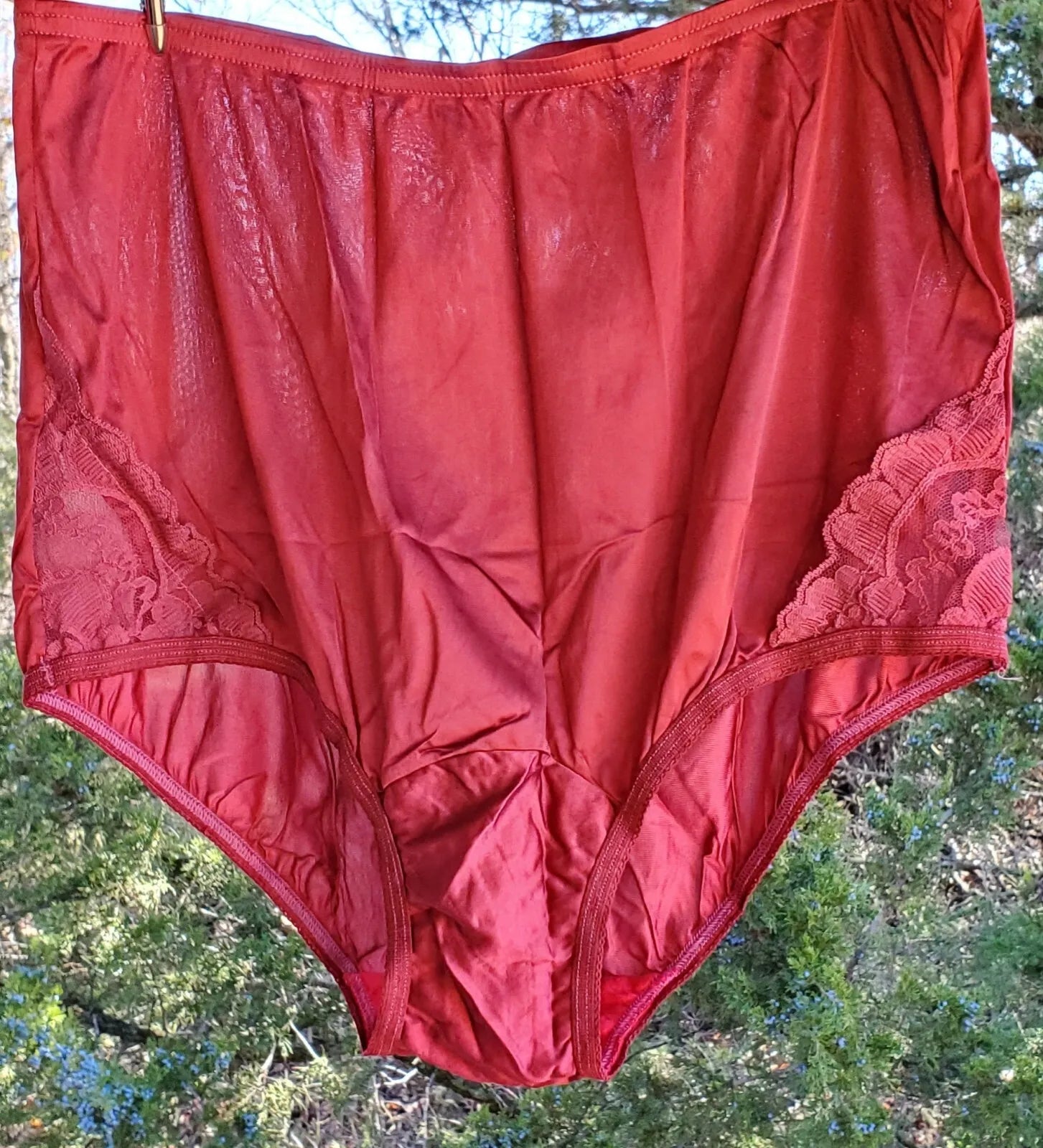 Vanity Fair Granny Panty LACE Nouveau Silky Nylon Heartbreaker RED - Star Vintage & More