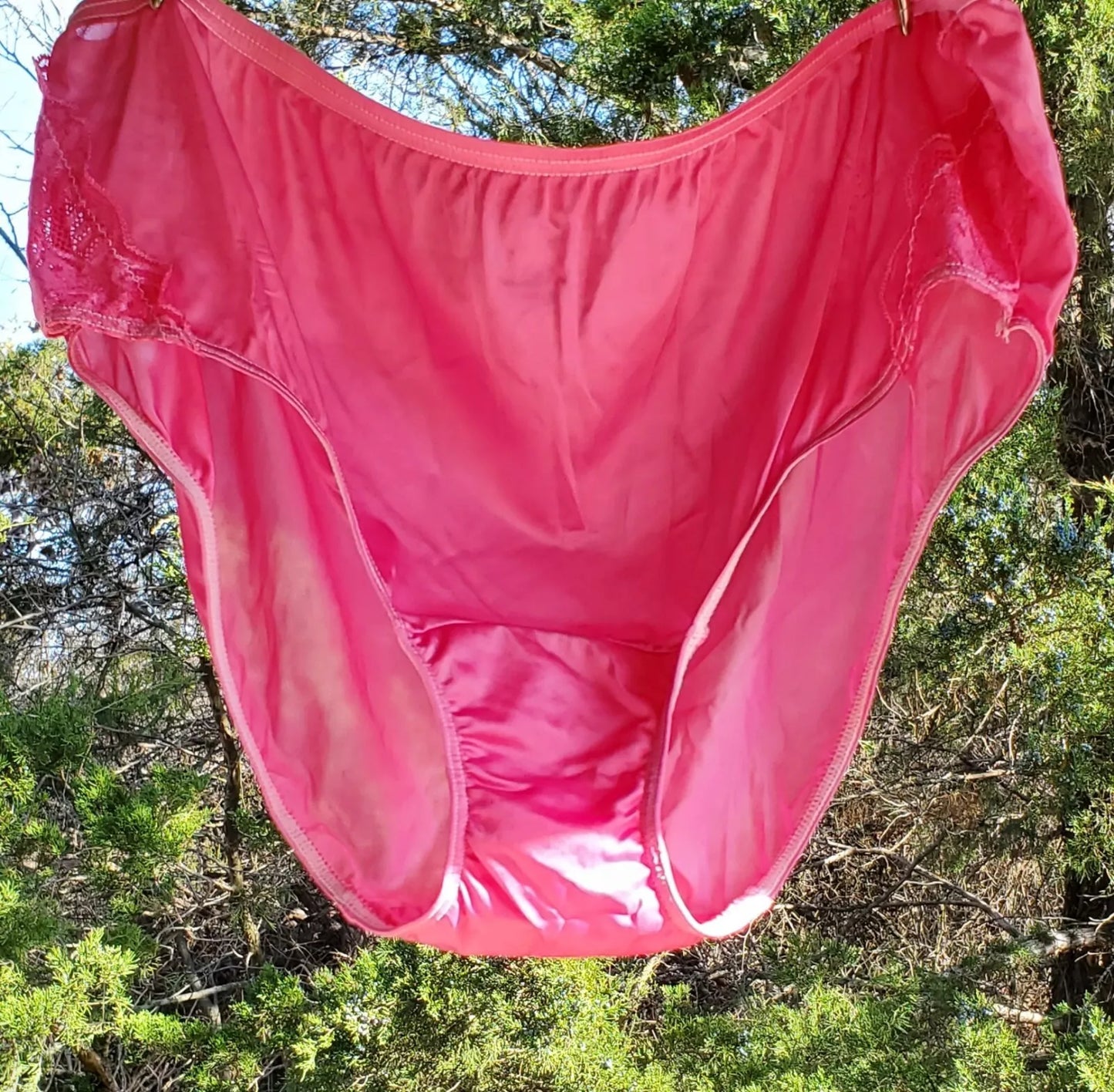 Shadowline Lace Bikini Sissy Panty Slippery Nylon PINK Sultry 11182 - Star Vintage & More