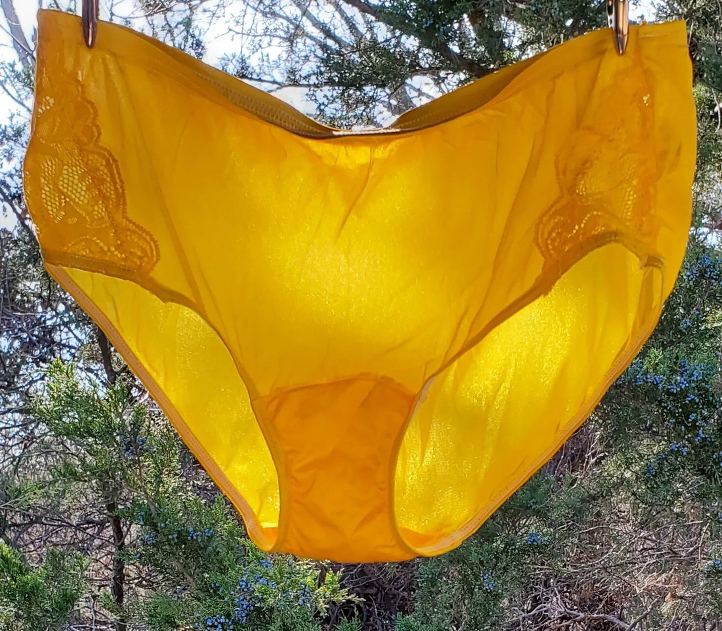 Shadowline Bikini Sissy Panty LACE Shiny Nylon YELLOW Sun Goddess 11182 - Star Vintage & More