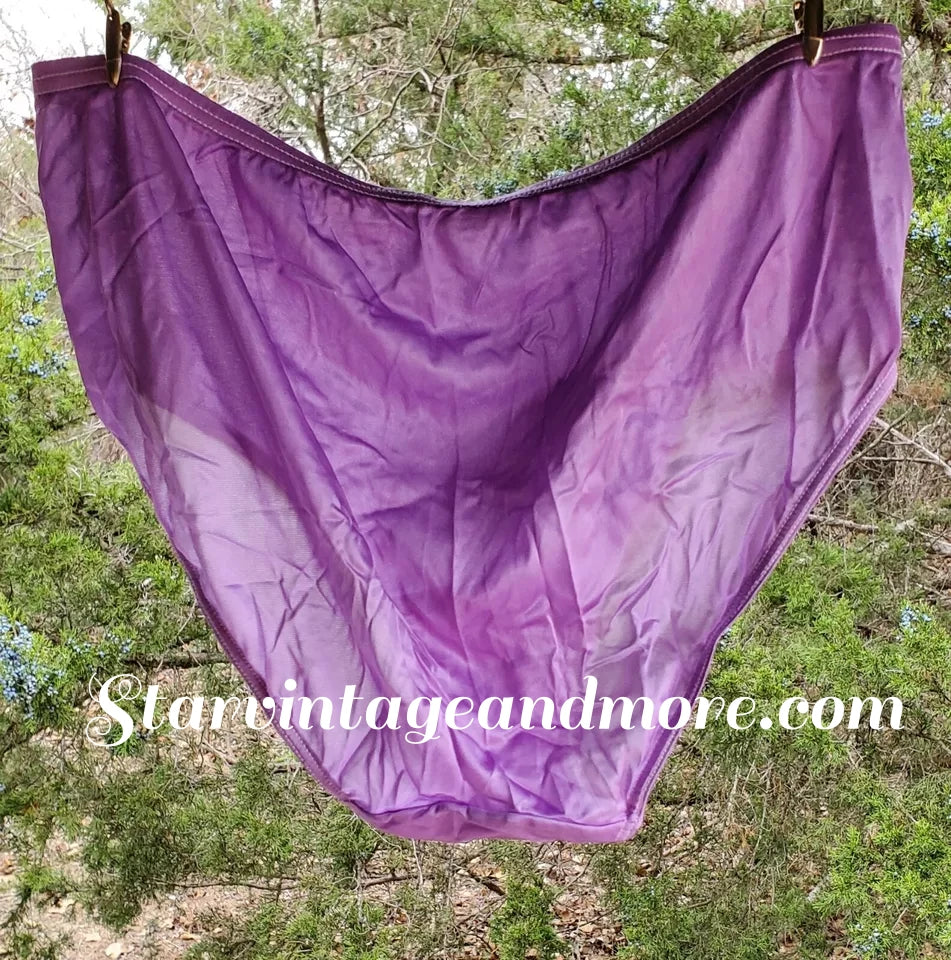 Shadowline Floral LACE Bikini Sissy Panty Silky Nylon PURPLE Foxglove 11182 - Star Vintage & More