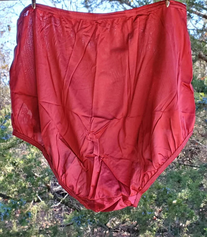 Vanity Fair Granny Panty LACE Nouveau Silky Nylon Heartbreaker RED - Star Vintage & More