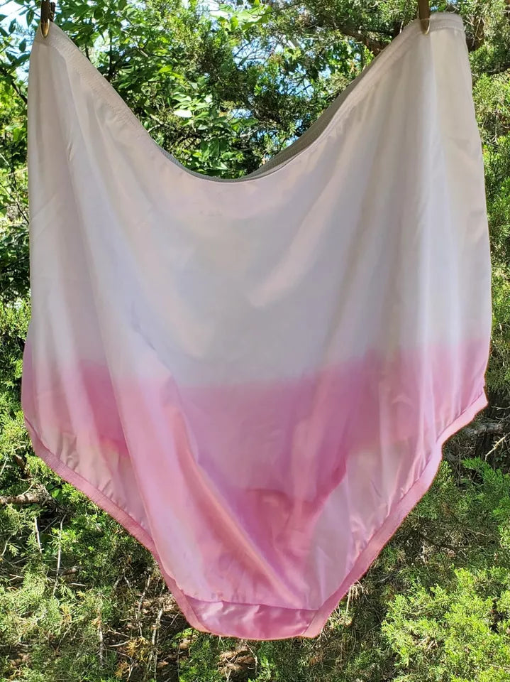 Vanity Fair LACE Nouveau Shiny Nylon Panty Ombre Princess PINK - Star Vintage & More